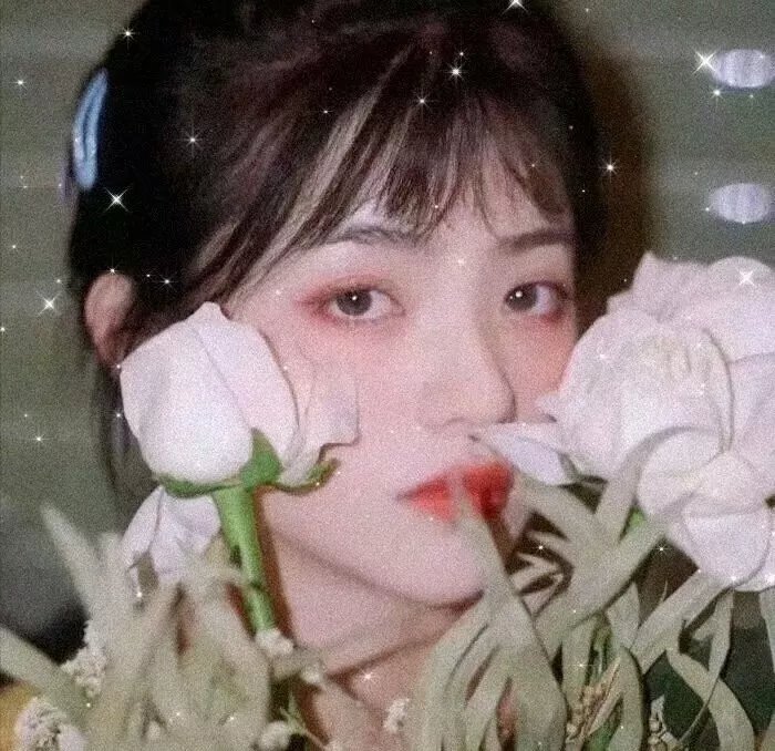 洛丽塔俱乐部的情歌